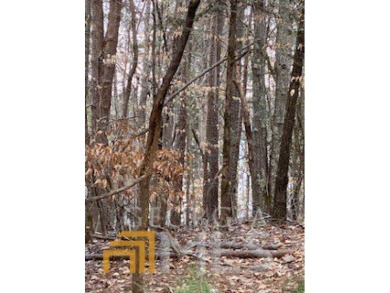 Lake Lot For Sale in Elberton, Georgia