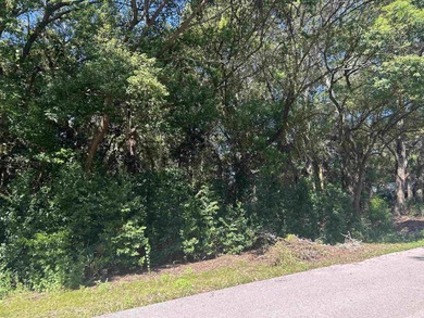 New River Lot For Sale in Carabelle Florida