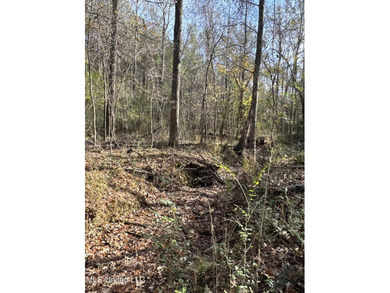 This offering includes four separate 38+/- acre tracts in - photo 12