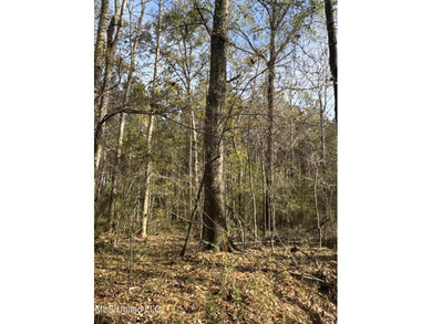 This offering includes four separate 38+/- acre tracts in - photo 13