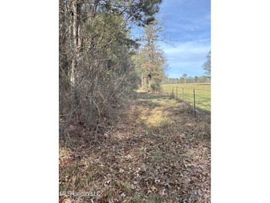This offering includes four separate 38+/- acre tracts in - photo 18