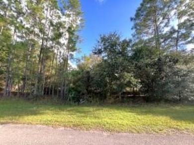 Lake Lot For Sale in Indian Lake Estates, Florida
