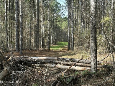 This offering includes four separate 38+/- acre tracts in - photo 23