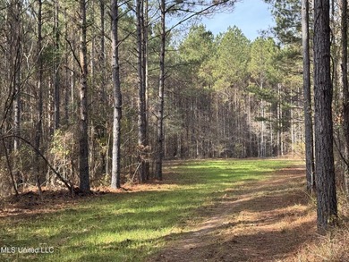 This offering includes four separate 38+/- acre tracts in - photo 25