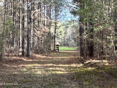 This offering includes four separate 38+/- acre tracts in - photo 28