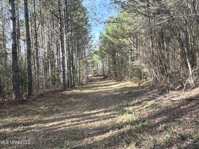 This offering includes four separate 38+/- acre tracts in - photo 30