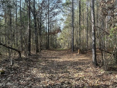 This offering includes four separate 38+/- acre tracts in - photo 34