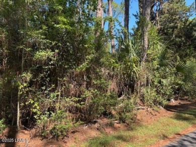 Lake Lot For Sale in Harbor Island, South Carolina
