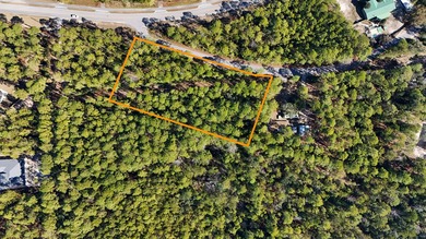 Discover the freedom of country living with this 1.9+/- acre - photo 3