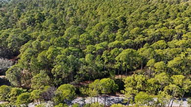 Discover the freedom of country living with this 1.9+/- acre - photo 10