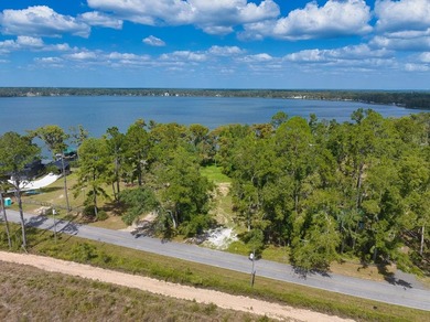 Lakefront Lot on Sought-After Cherry Lake - Madison, Florida - photo 2