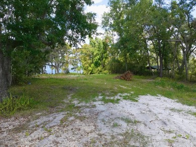 Lakefront Lot on Sought-After Cherry Lake - Madison, Florida - photo 3
