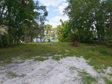 Lakefront Lot on Sought-After Cherry Lake - Madison, Florida - photo 4