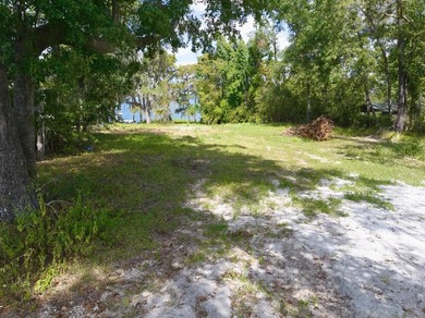 Lakefront Lot on Sought-After Cherry Lake - Madison, Florida - photo 6
