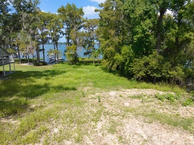 Lakefront Lot on Sought-After Cherry Lake - Madison, Florida - photo 9