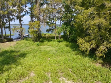 Lakefront Lot on Sought-After Cherry Lake - Madison, Florida - photo 10
