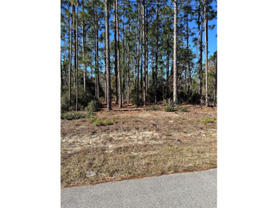 Bonable Lake Lot For Sale in Dunnellon Florida