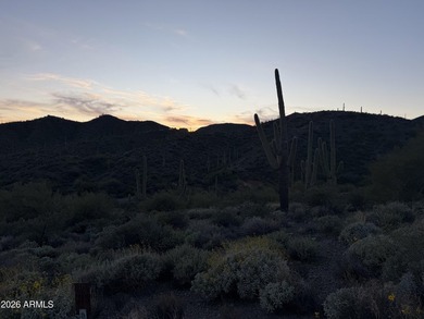 Phenomenal homesite in Desert Mountain's premier Village of - photo 13