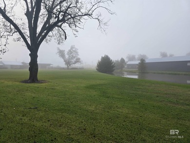 3 Bed 3 Bath. 5.5 Acres. Unrestricted and Unzoned ready to go - photo 29