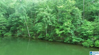 Lake Wedowee / RL Harris Reservoir Lot For Sale in Wedowee Alabama