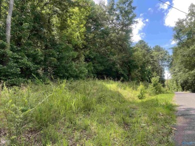 Lake Lot For Sale in Centre, Alabama