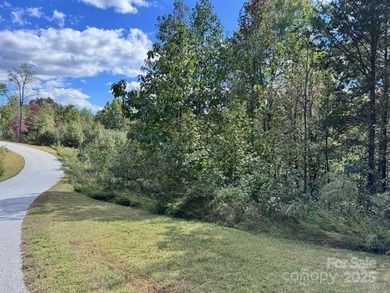 This 1.28 acre interior lot is located in the gated waterfront - photo 5