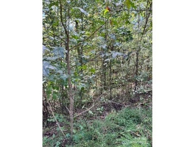 This 1.28 acre interior lot is located in the gated waterfront - photo 6