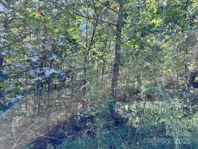 This 1.28 acre interior lot is located in the gated waterfront - photo 7