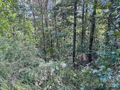 This 1.28 acre interior lot is located in the gated waterfront - photo 8