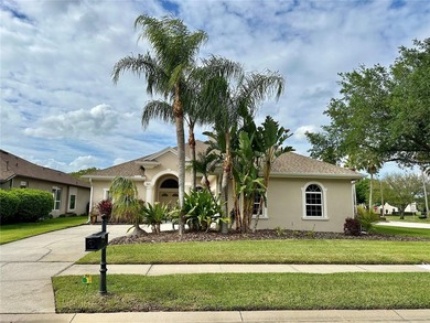 Lake Tarpon Home For Sale in Tarpon Springs Florida