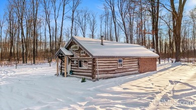 (private lake, pond, creek) Home For Sale in Rock Michigan