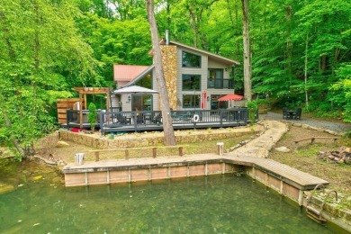 Lake Home For Sale in Morganton, Georgia