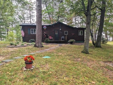 Lake Home For Sale in Mcgregor, Minnesota