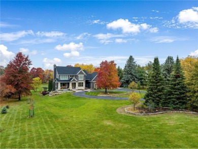 McDonald Lake  Home For Sale in Baytown Twp Minnesota