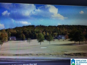 Lake Lot For Sale in Oneonta, Alabama