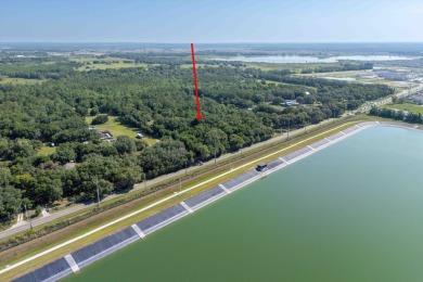 (private lake, pond, creek) Acreage For Sale in Wesley Chapel Florida