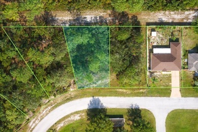 Lake Marion - Polk County Lot For Sale in Kissimmee Florida
