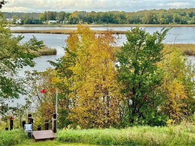 Lake Home For Sale in Brandon, Minnesota