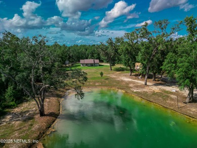 (private lake, pond, coastal) Home For Sale in Live Oak Florida