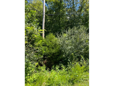 Large Lot in Lake & Equestrian Community - Lake Lot For Sale in Speedwell, Tennessee
