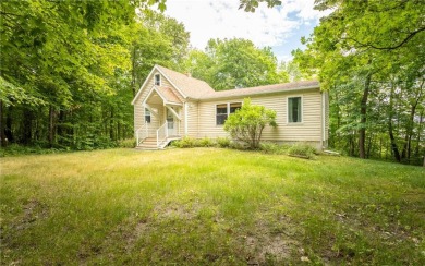 Oscar Lake Home For Sale in Kensington Minnesota
