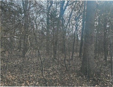 Lake Lot Sale Pending in Branson, Missouri