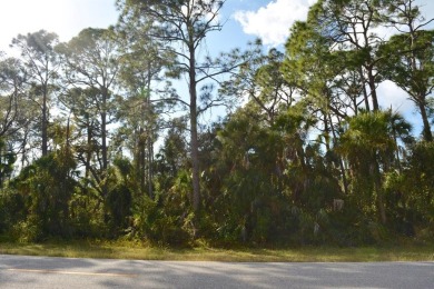 Port Charlotte Waterway Lakes Area Lot For Sale in Port Charlotte Florida