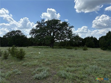 (private lake, pond, creek) Acreage For Sale in Evant Texas