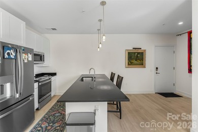 Extraordinary opportunity to own this move-in ready condo - photo 6