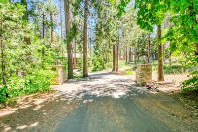 Welcome to this great family cabin with an attached 2 car garage - photo 43