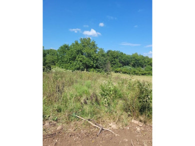 (private lake, pond, creek) Acreage For Sale in Fair Grove Missouri