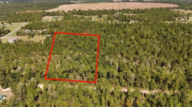 (private lake, pond, creek) Acreage For Sale in Marianna Florida