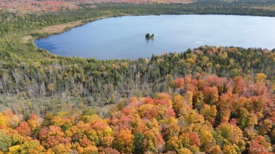 (private lake, pond, creek) Acreage Active Under Contract in Gulliver Michigan