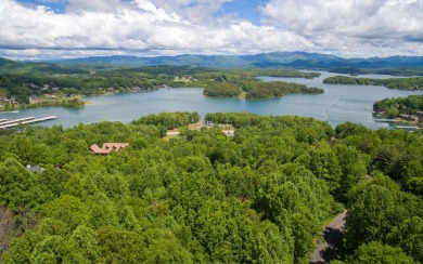 BIG LAKE and MOUNTAIN VIEWS WITH SOME CLEARING!! Located in the p - Lake Lot For Sale in Hiawassee, Georgia